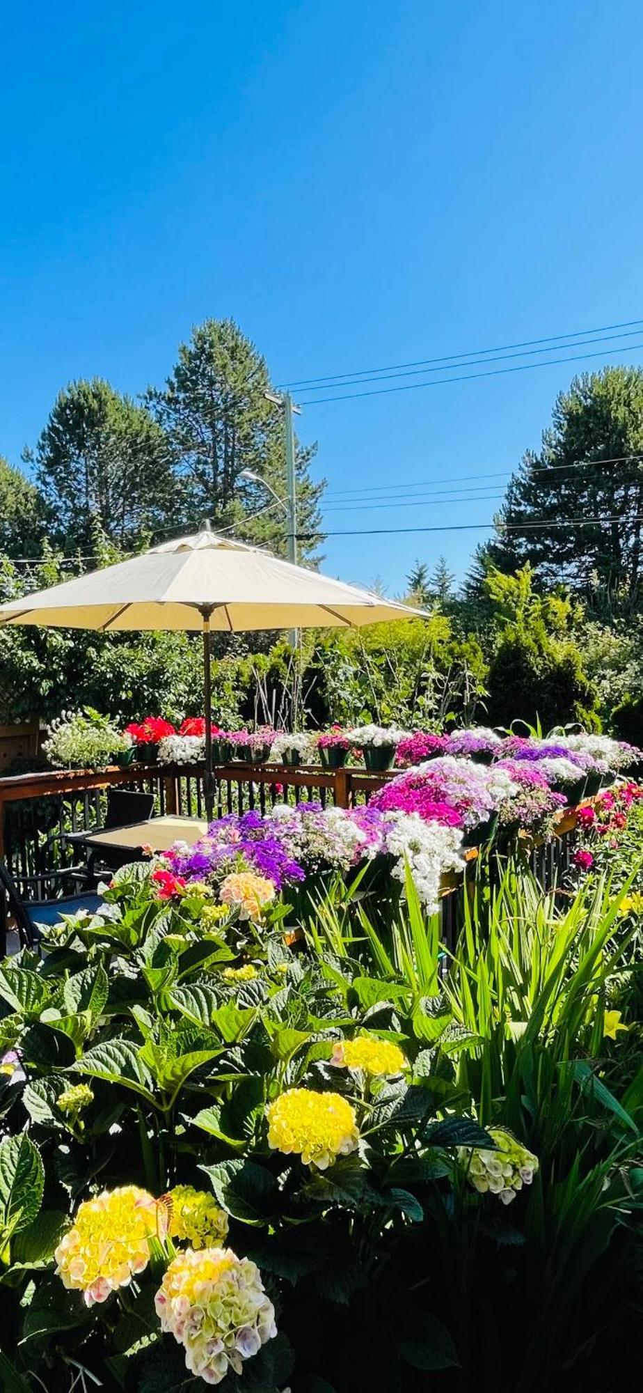 Garden Home In Victoria -Beautiful Home In Victoria Bagian luar foto
