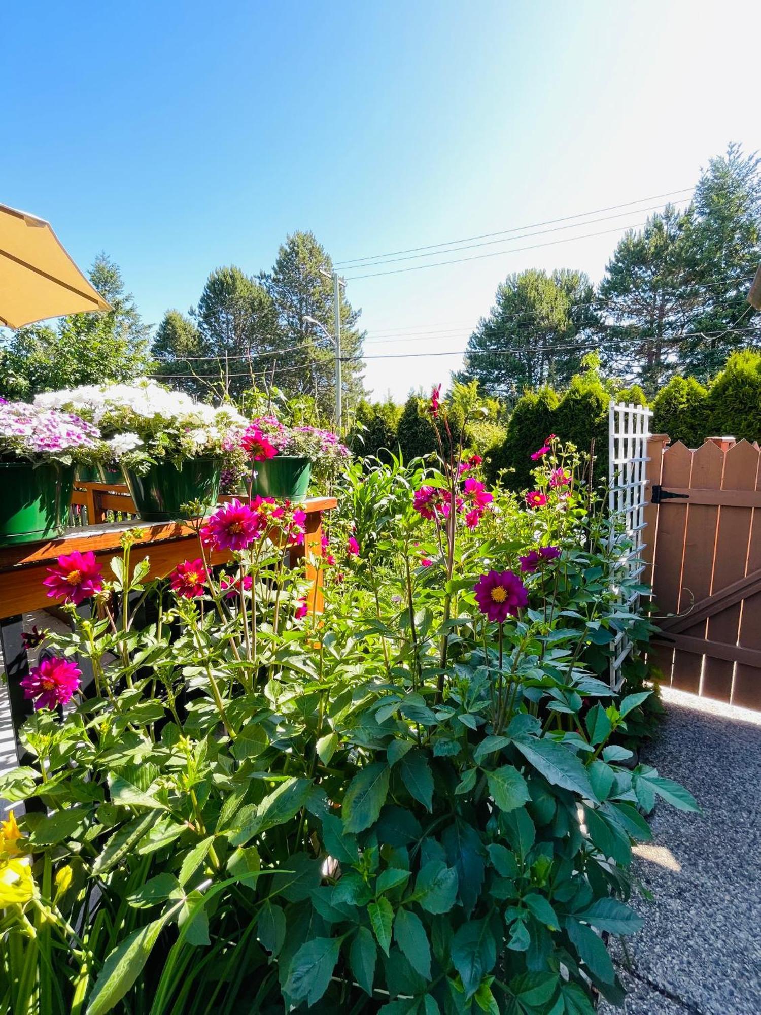 Garden Home In Victoria -Beautiful Home In Victoria Bagian luar foto